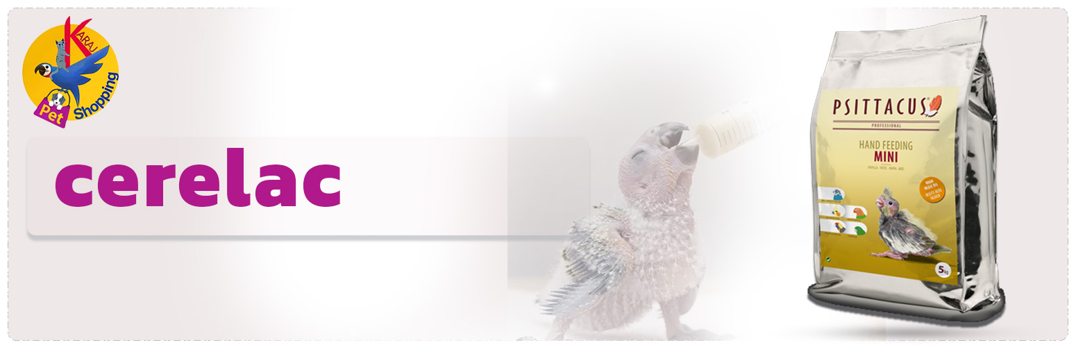 pet.1.2 (2)